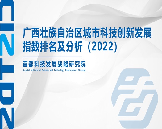 大黑屌猛肏嫩逼流白浆【成果发布】广西壮族自治区城市科技创新发展指数排名及分析（2022）